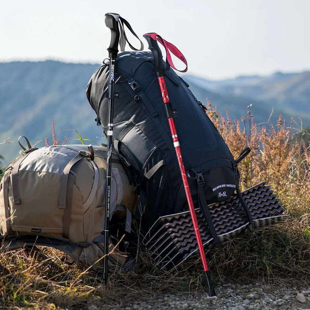 Camp Basel | TrailVero Ultraleichte Falt-Trekkingstöcke