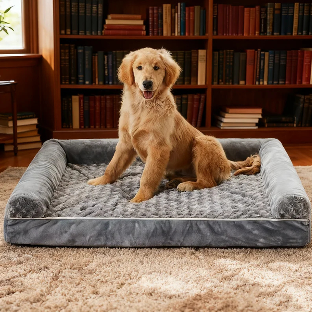 Camp Basel | Snugrove Orthopädisches Hundebett Extra Gross