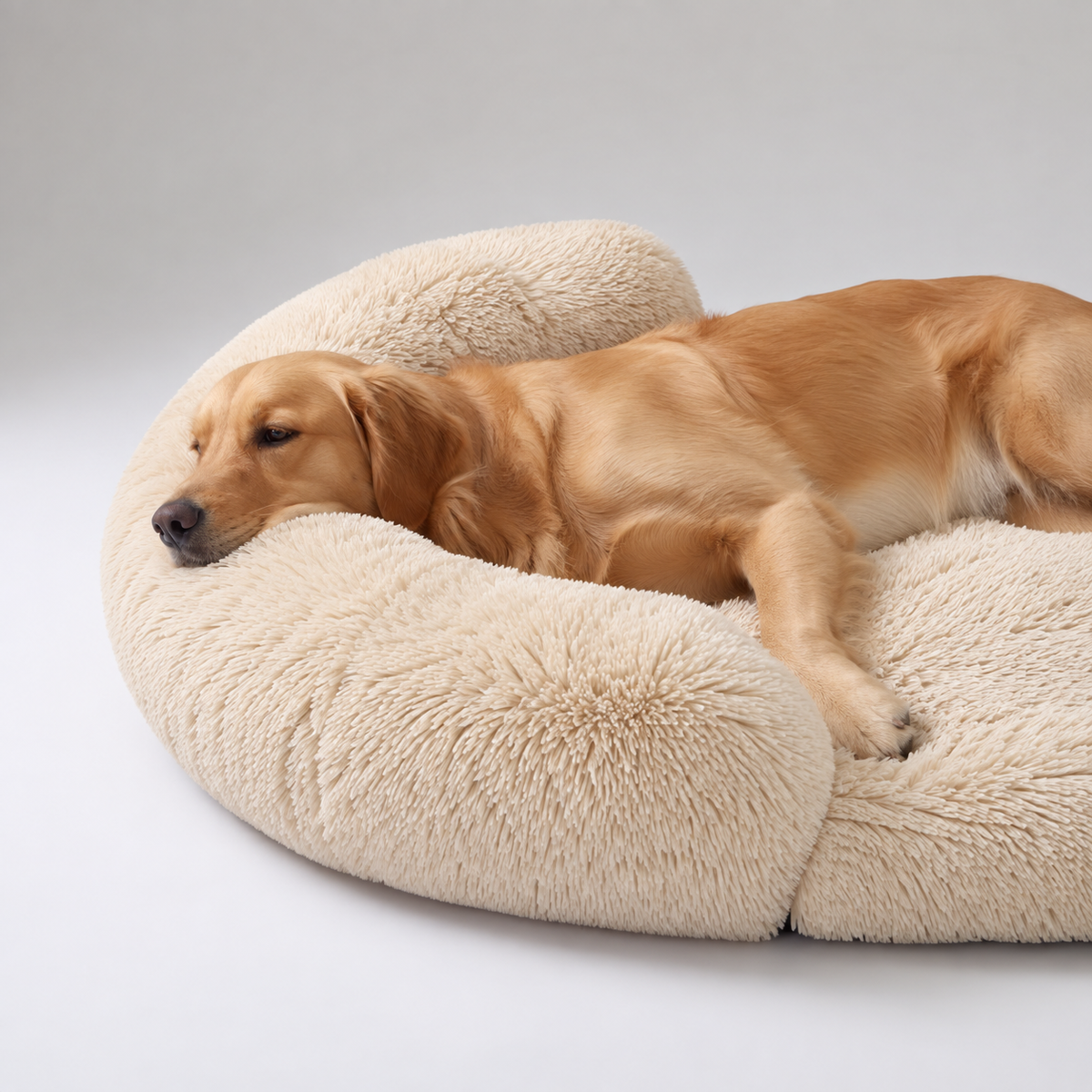 Camp Basel | Snoozepaw Orthopädisches Hundebett mit Eierschaum