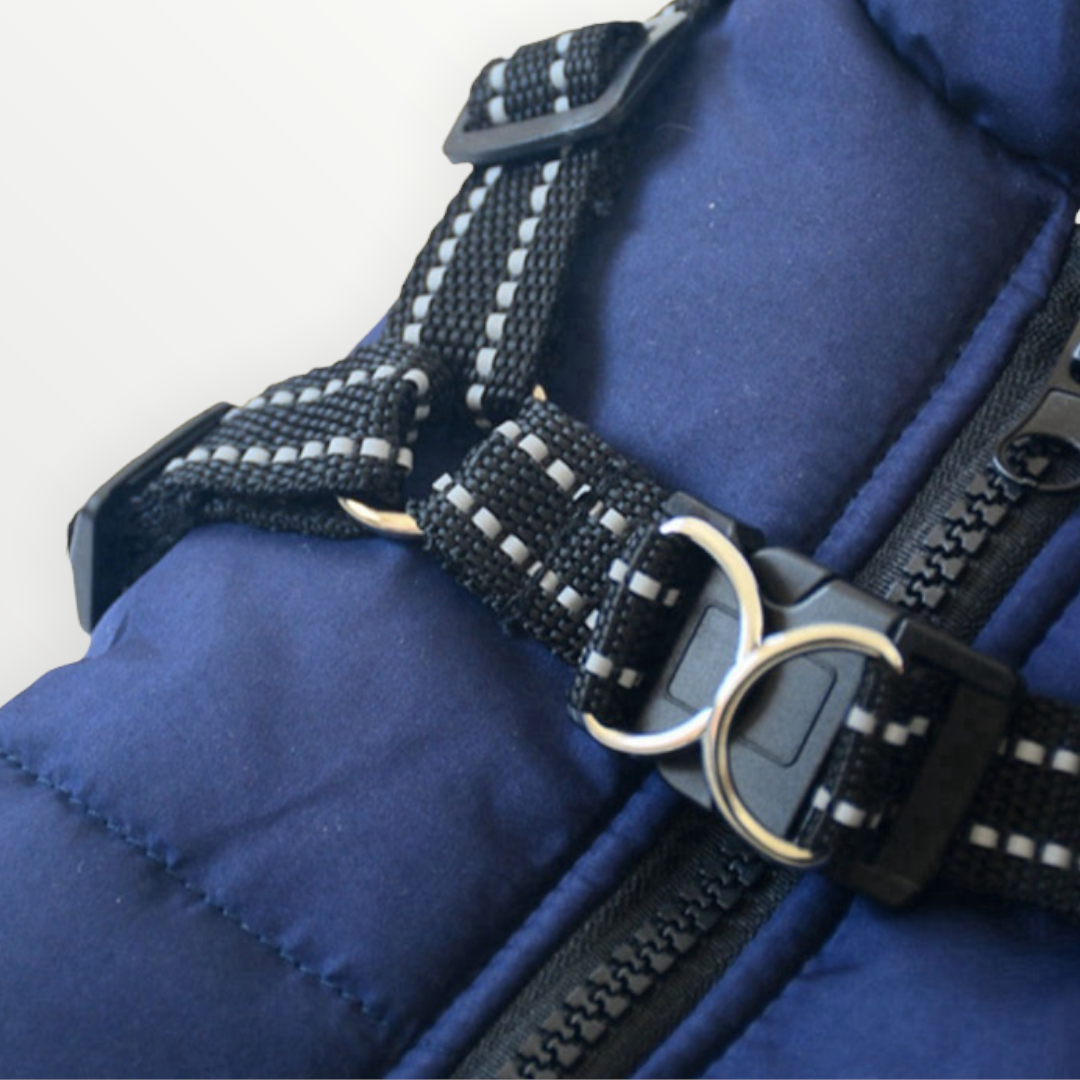 Hundejacke Wind- & Wasserabweisend Integriertes Geschirr