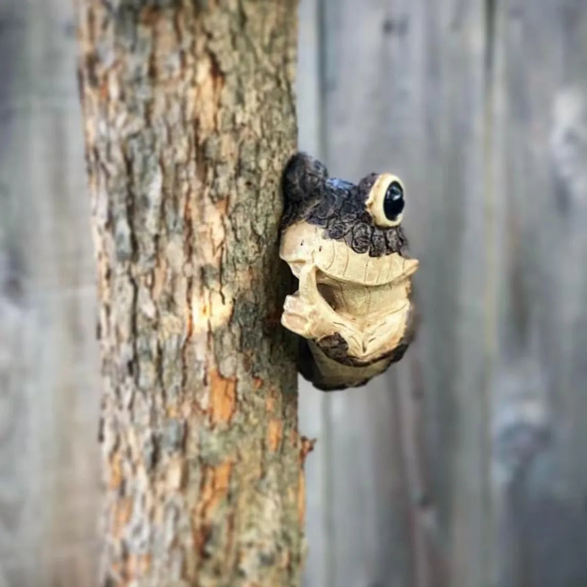 Spähender Frosch Baumornament mit lebensechten Details und verwittertem Finish
