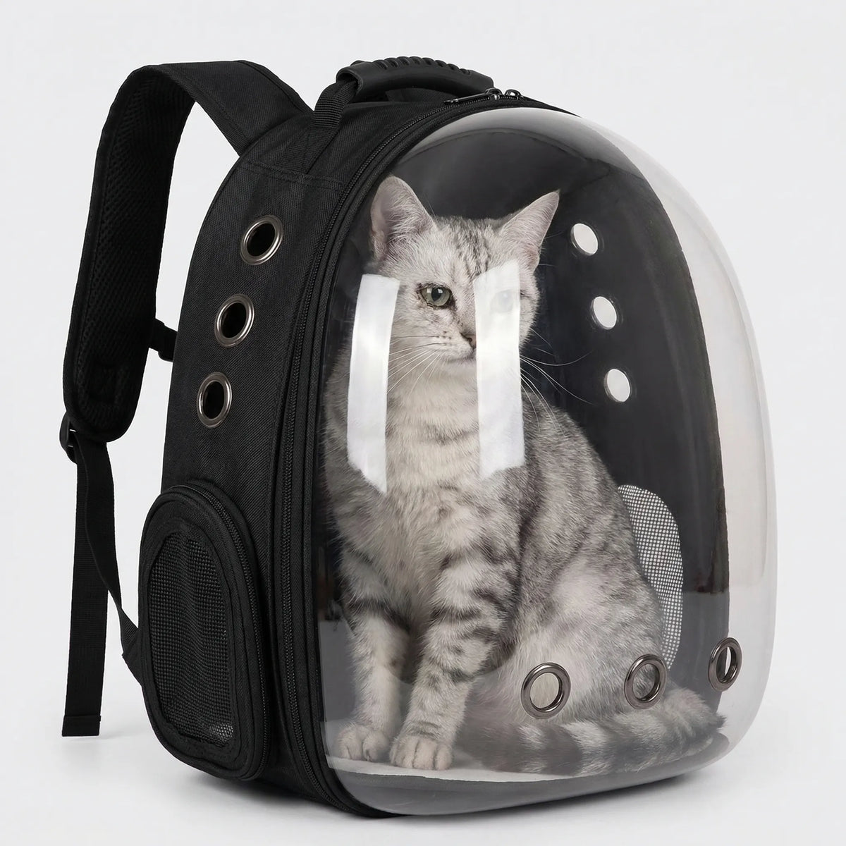 Katzen-Rucksack-Träger mit transparenter Kuppel, gepolstert, rutschfest