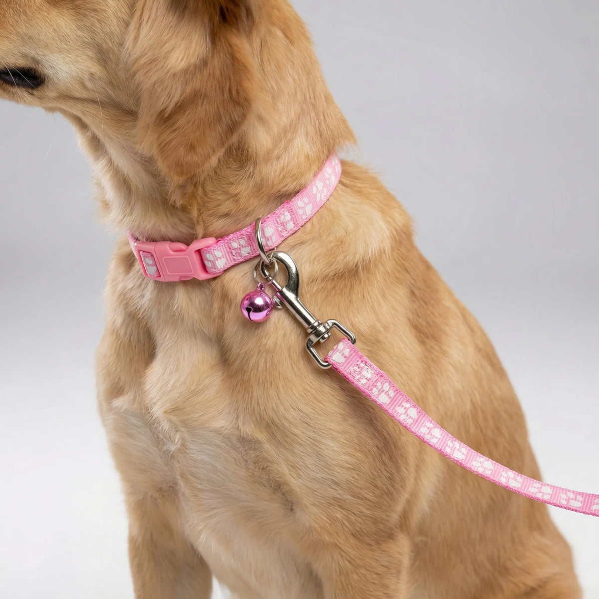 Verstellbares Halsband- und Leinen-Set für kleine Hunde und Katzen mit Pfotenmuster
