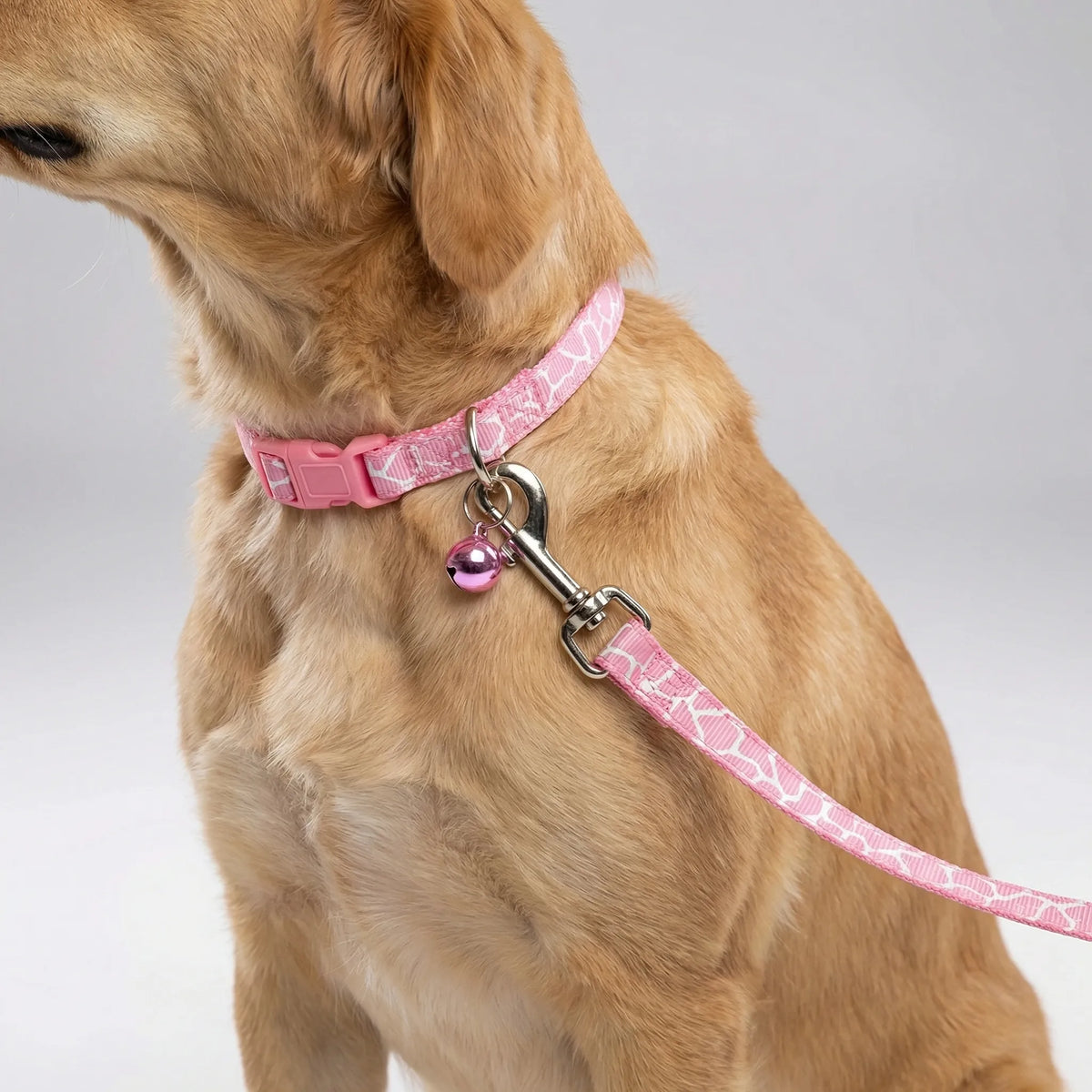 Verstellbares Halsband- und Leinen-Set für kleine Hunde und Katzen mit Pfotenmuster
