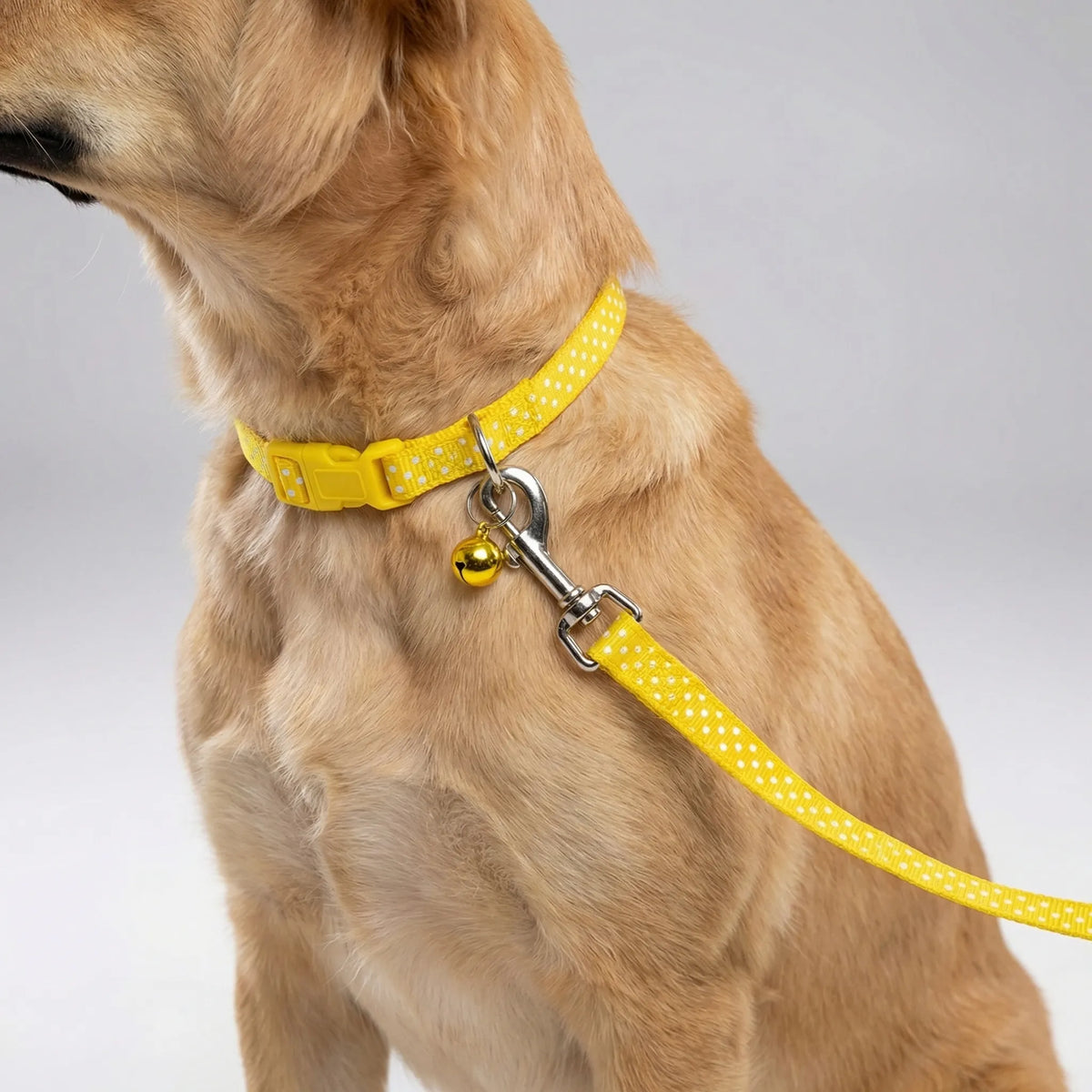 Verstellbares Halsband- und Leinen-Set für kleine Hunde und Katzen mit Pfotenmuster