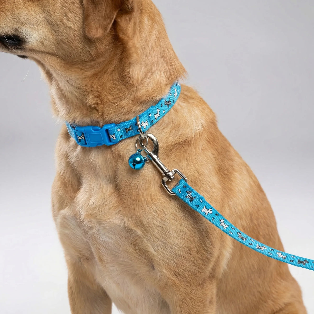 Verstellbares Halsband- und Leinen-Set für kleine Hunde und Katzen mit Pfotenmuster
