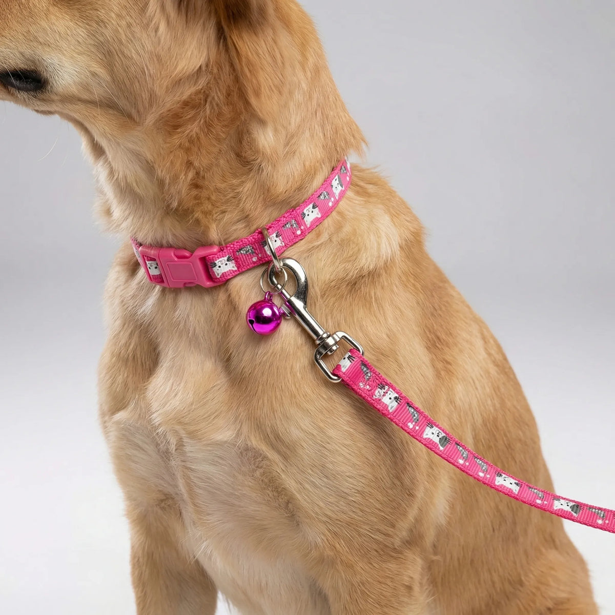 Verstellbares Halsband- und Leinen-Set für kleine Hunde und Katzen mit Pfotenmuster