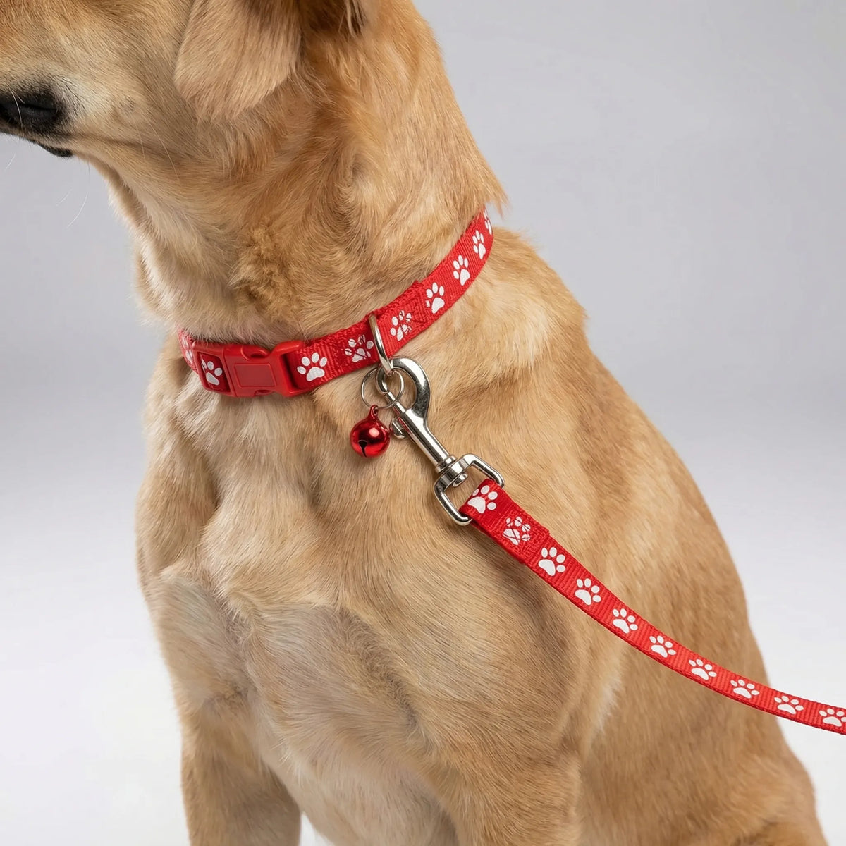 Verstellbares Halsband- und Leinen-Set für kleine Hunde und Katzen mit Pfotenmuster