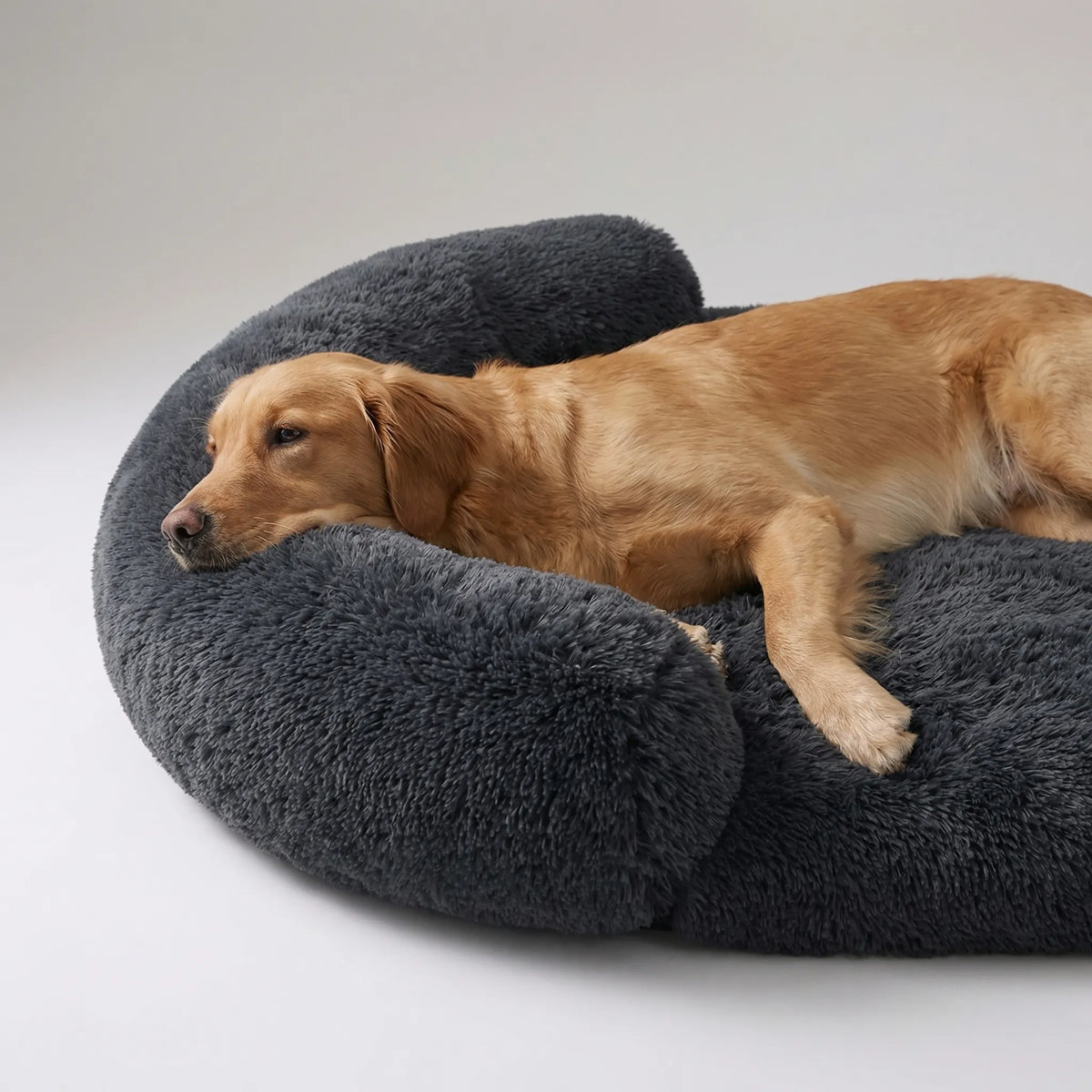 Orthopädisches Hundebett aus Eierschaum mit Plüschbezug und Sofa-Rand