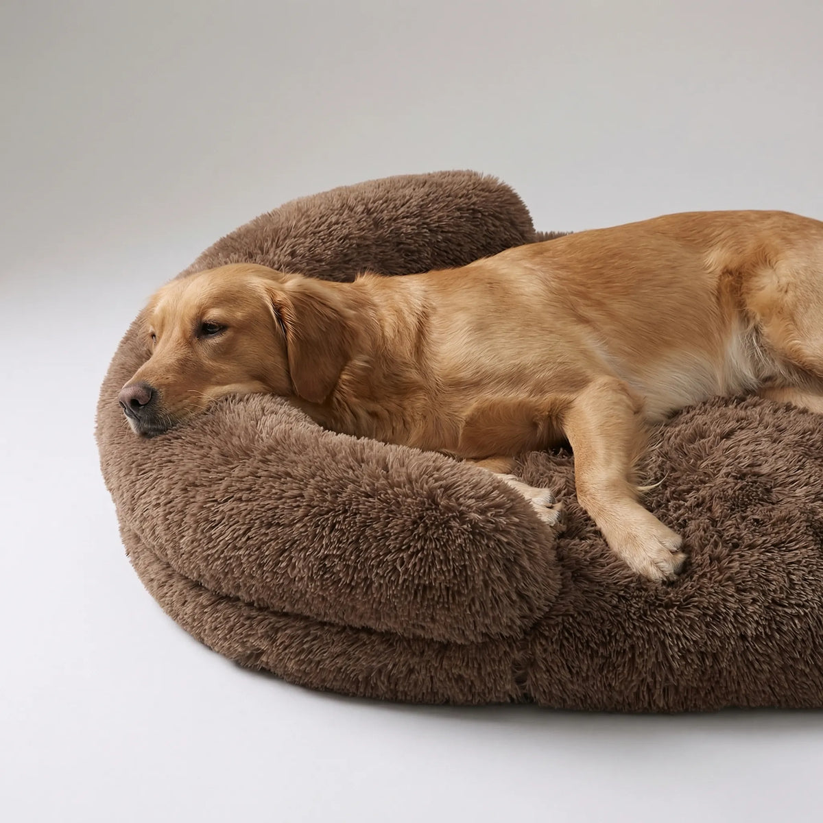 Orthopädisches Hundebett aus Eierschaum mit Plüschbezug und Sofa-Rand
