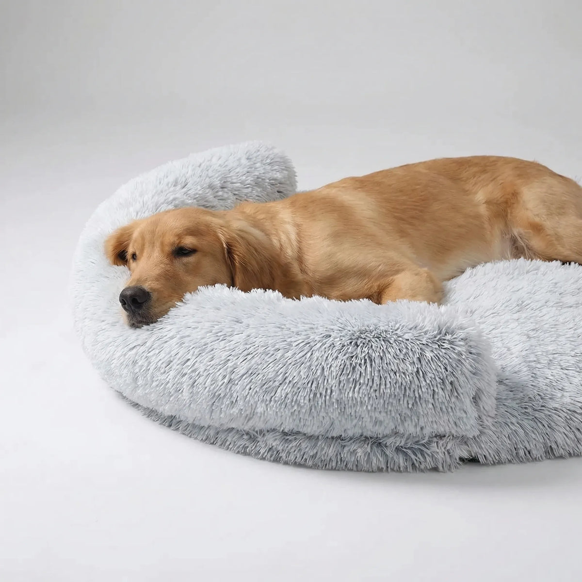Orthopädisches Hundebett aus Eierschaum mit Plüschbezug und Sofa-Rand