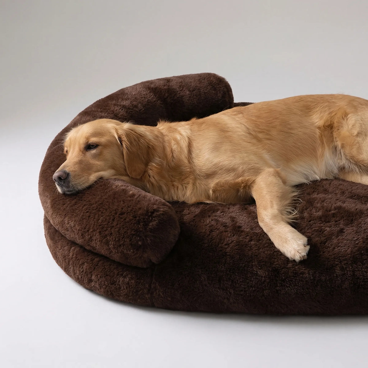 Orthopädisches Hundebett aus Eierschaum mit Plüschbezug und Sofa-Rand
