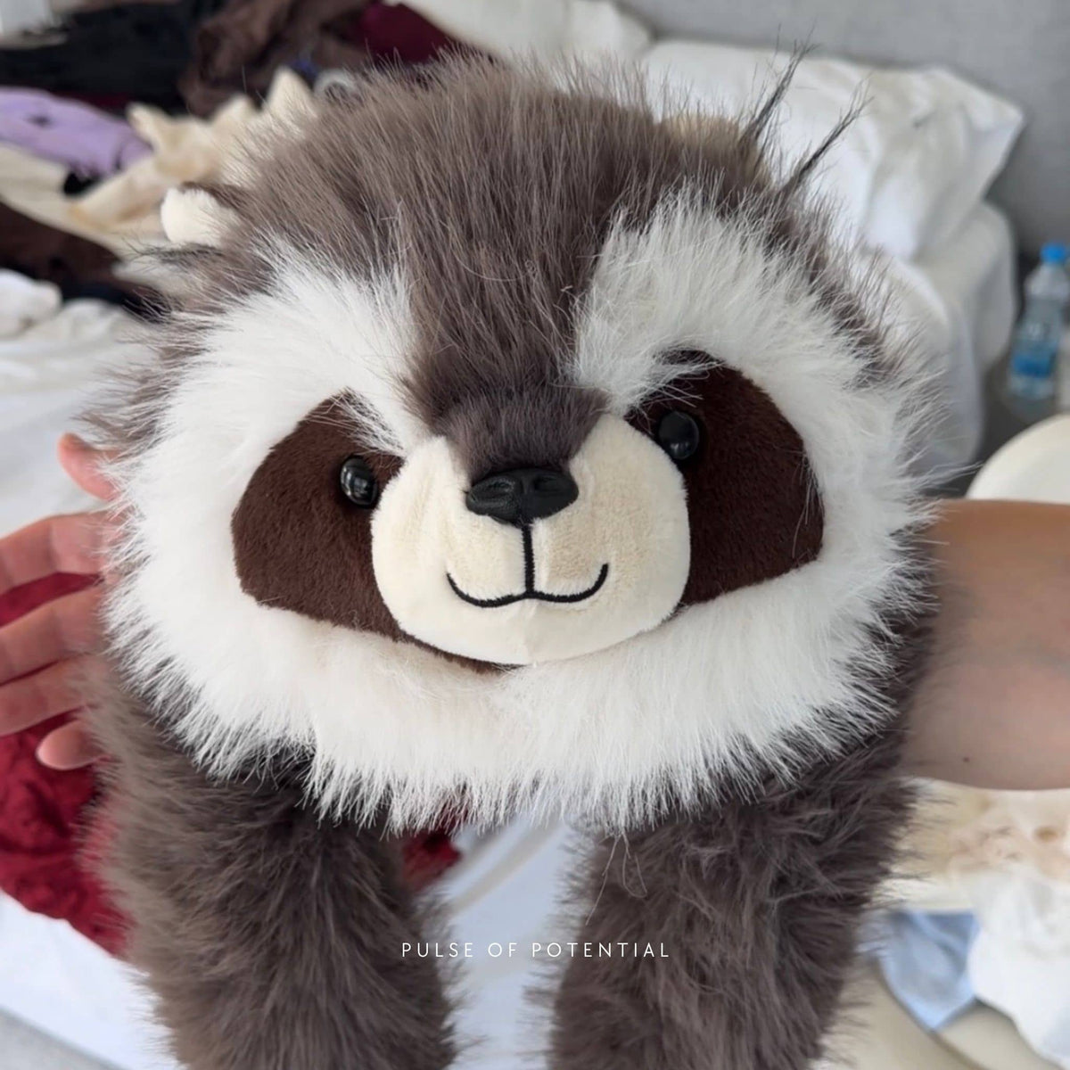Rockie der Waschbär Gewichtstier