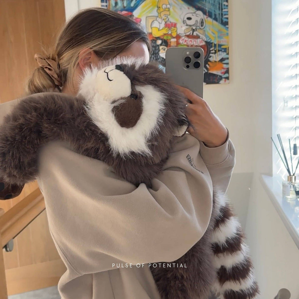 Rockie der Waschbär Gewichtstier