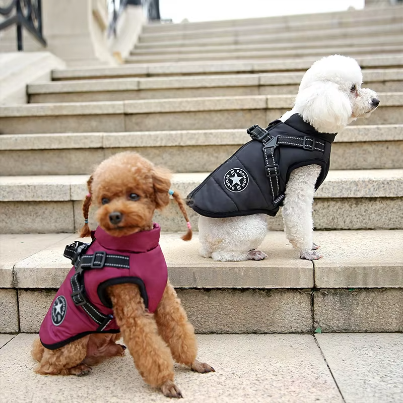 Wind- und wasserdichte Hundejacke mit integriertem Geschirr