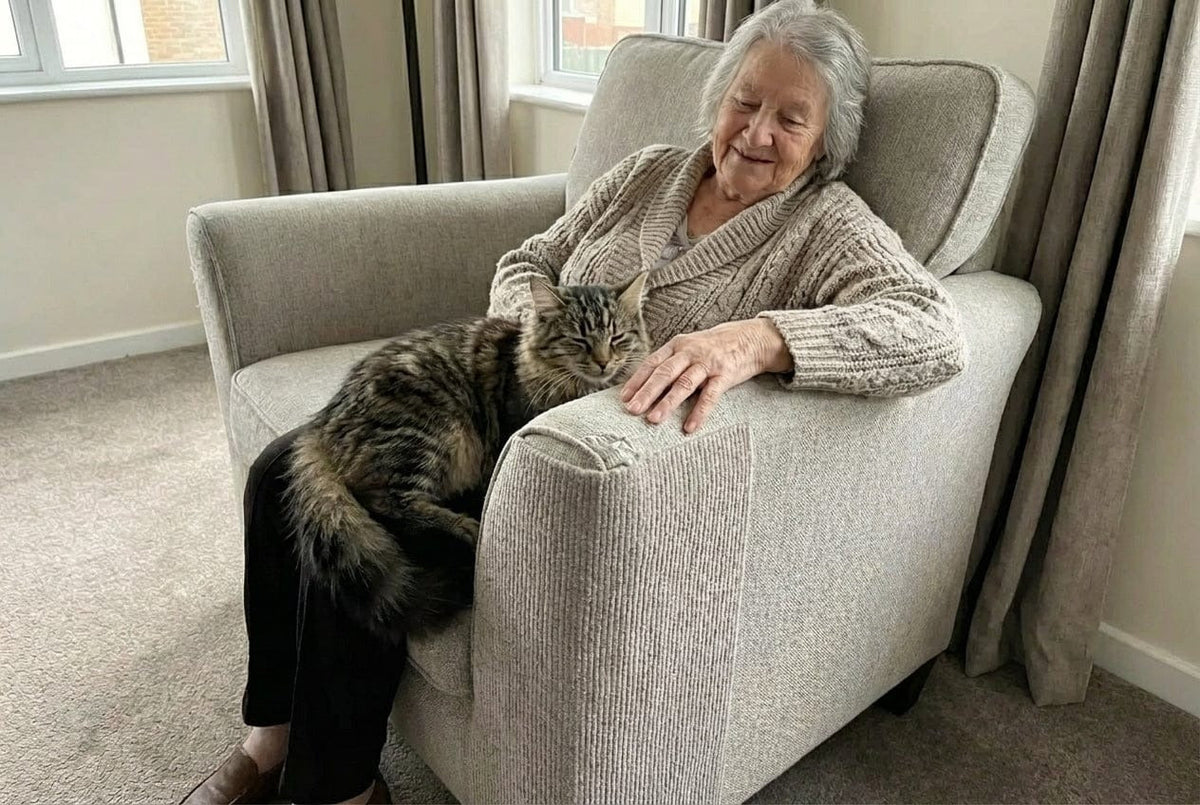 Selbstklebende Katzen-Kratzmatte – Zuschneidbare Kratzschutz für Sofas, Möbel & Katzenkrallenpflege