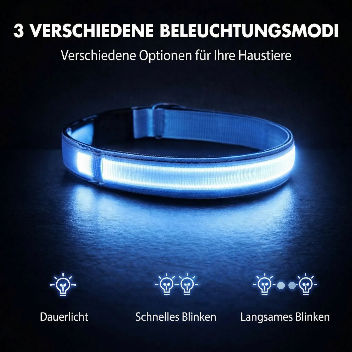 Leuchthalsband für Hunde