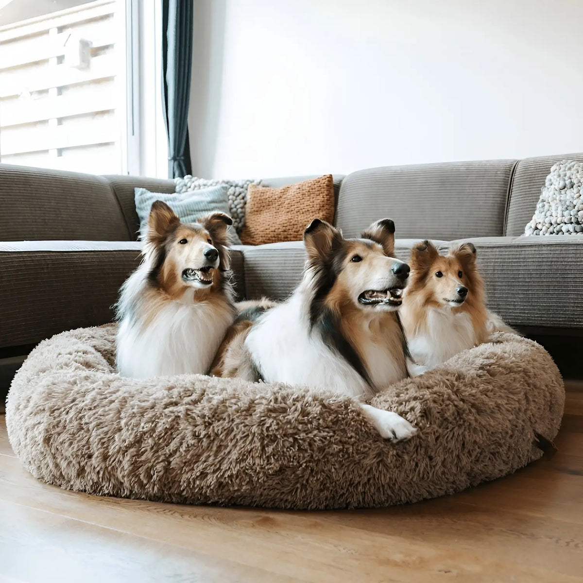 Stressreduzierendes Haustierbett für Hunde