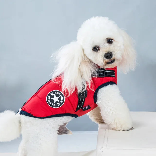 Wind- und wasserdichte Hundejacke mit integriertem Geschirr