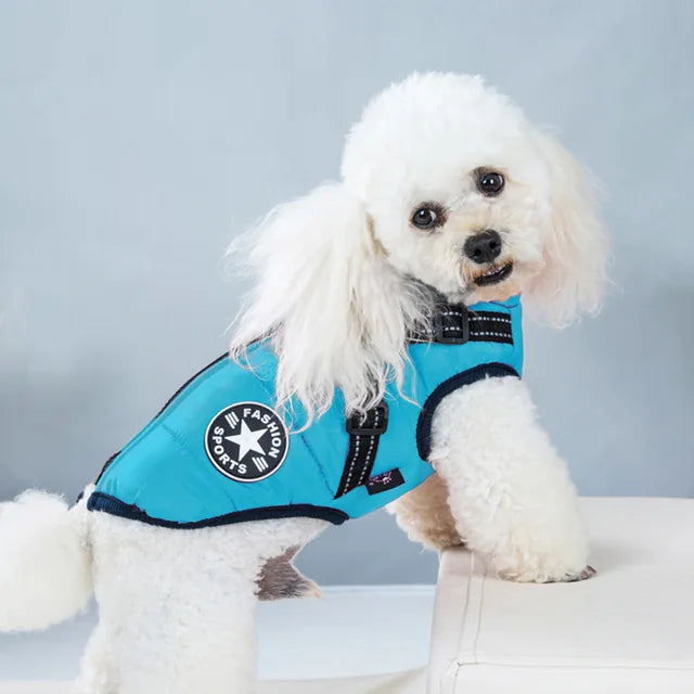 Wind- und wasserdichte Hundejacke mit integriertem Geschirr