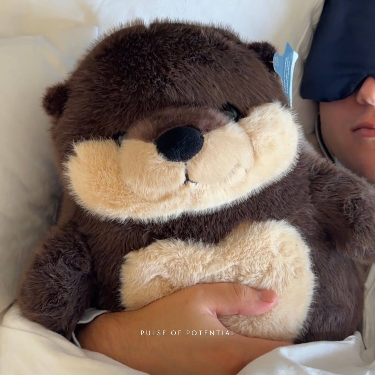 Otis der Otter beschwerte Kuschelfreund