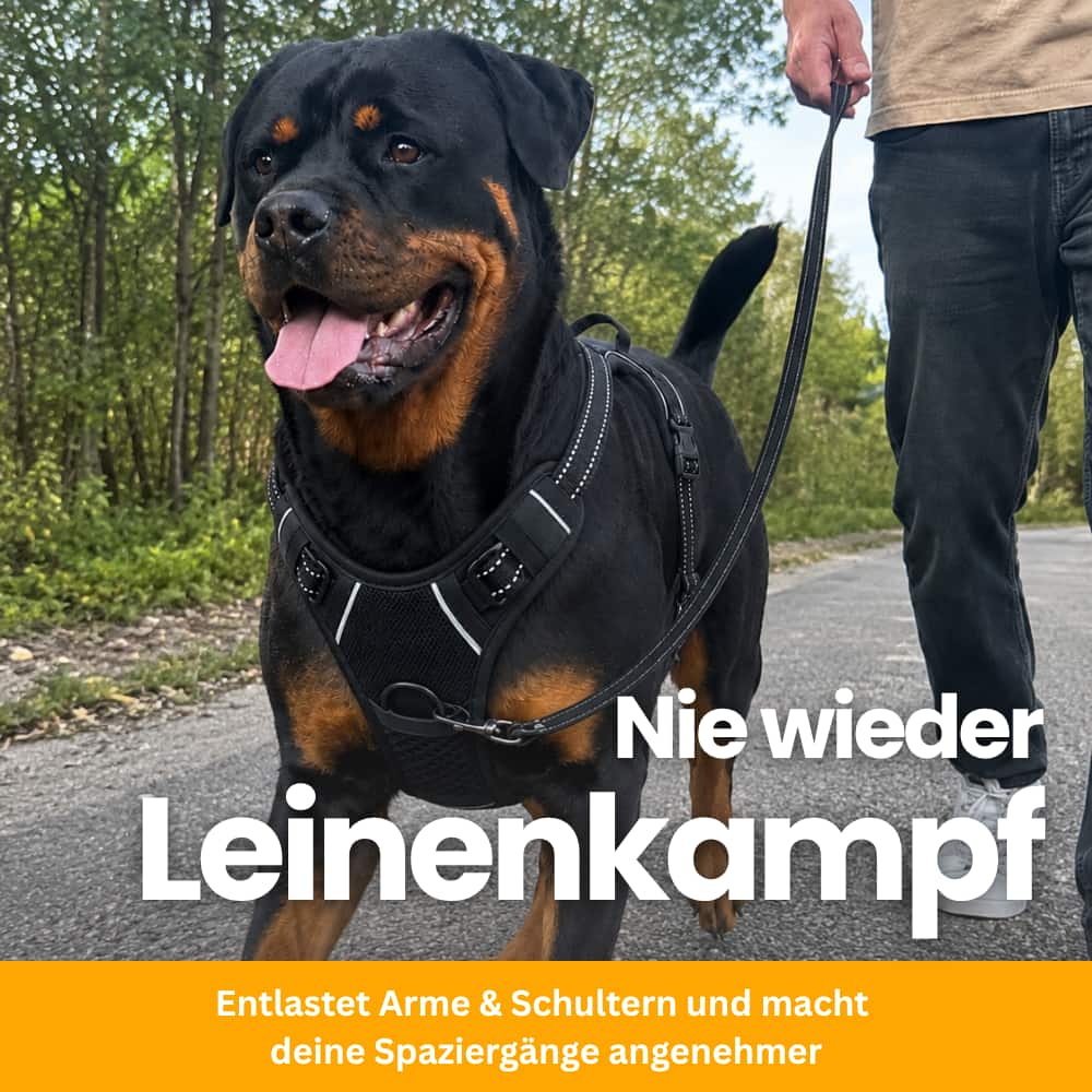 Gepolstertes Anti-Zug Hundegeschirr