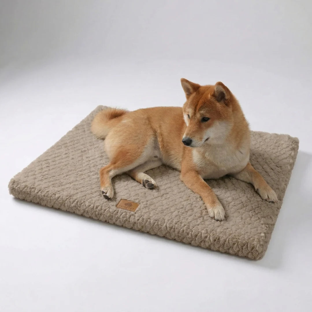 Camp Basel | Pawloft Flache Orthopädische Hundematte mit Schaumstoffbasis