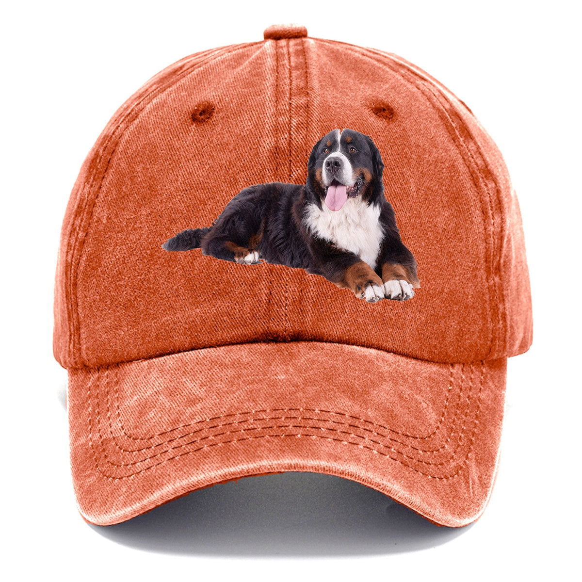 Berner Sennenhund Classic Cap