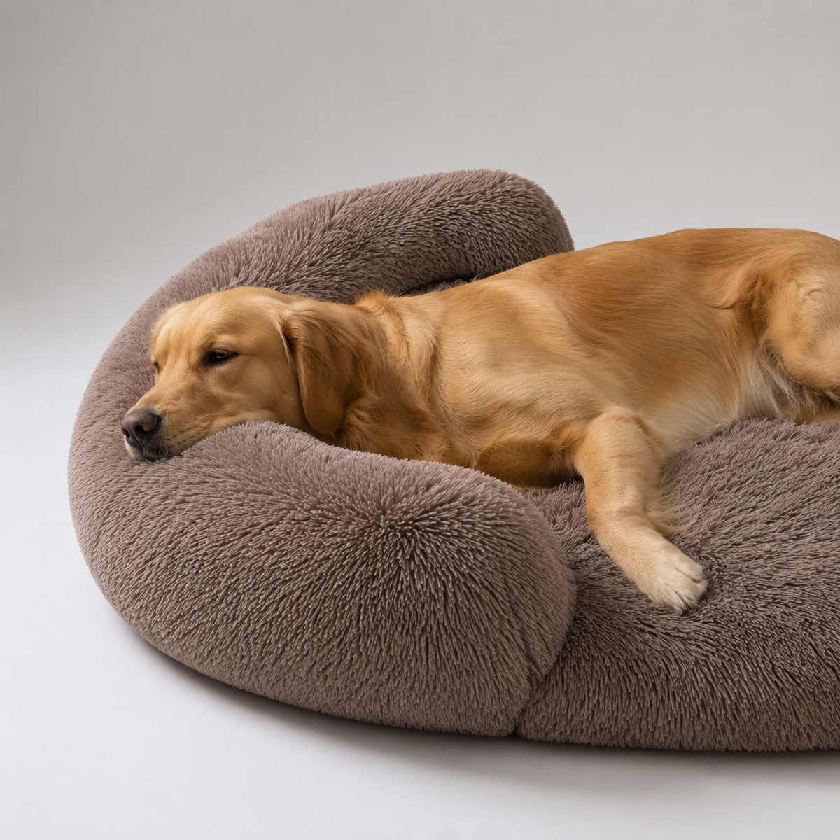 Camp Basel | Snoozepaw Orthopädisches Hundebett mit Eierschaum