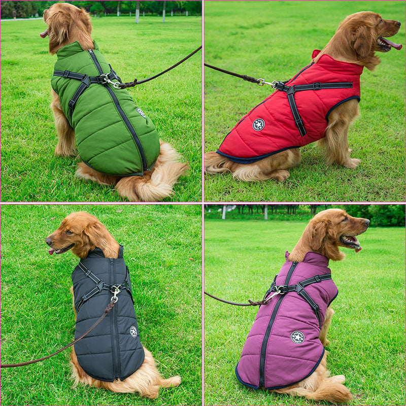 Hundejacke Wind- & Wasserabweisend Integriertes Geschirr