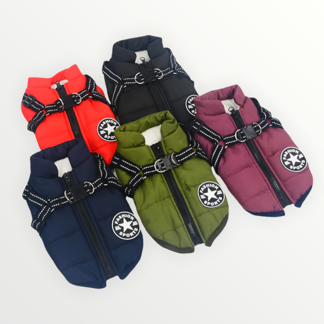 Hundejacke Wind- & Wasserabweisend Integriertes Geschirr