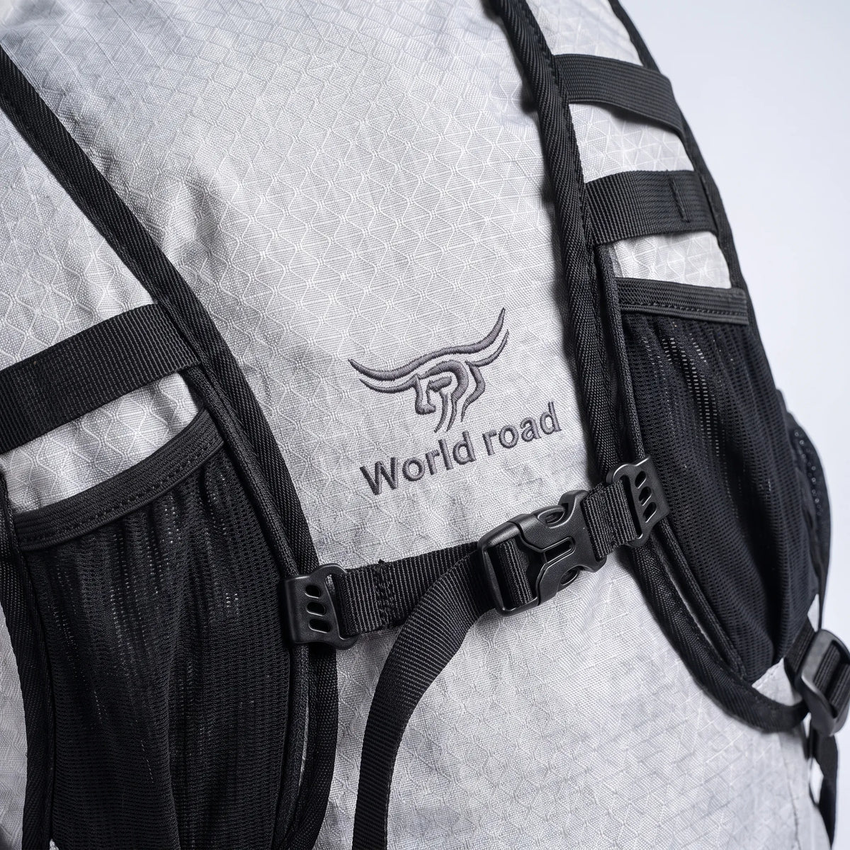 Leichter Tagesrucksack 15 Liter wasserabweisend mit Hydratationsfach