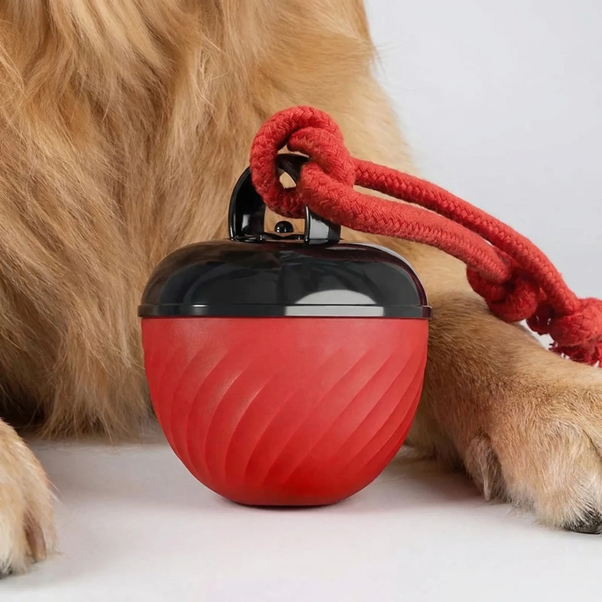 Automatischer Hüpfball für Hunde und Katzen, USB-aufladbar, interaktives Spielzeug