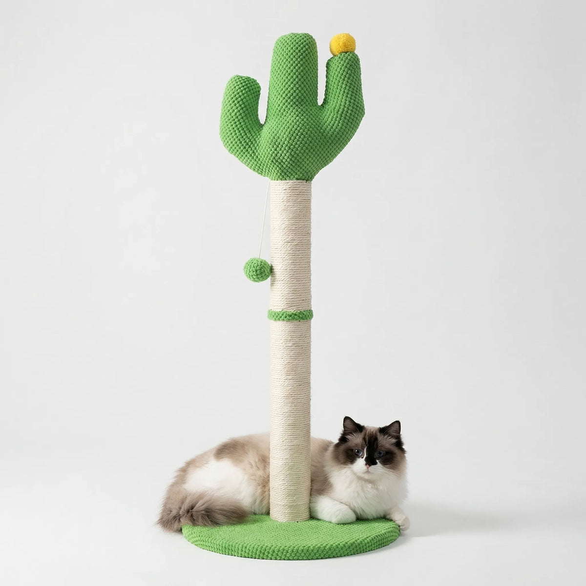 Kakteenförmiger Kratzbaum für Katzen mit Seilpfosten und Spielbällen