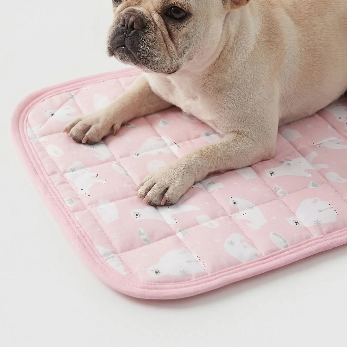 Gesteppte Kühlmatte für Hunde und Katzen, atmungsaktiv und waschbar