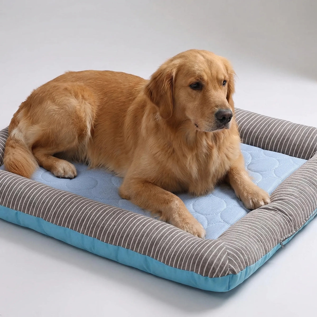 Kühlmatte für Hunde und Katzen, atmungsaktiv, weich gepolsterter Rand