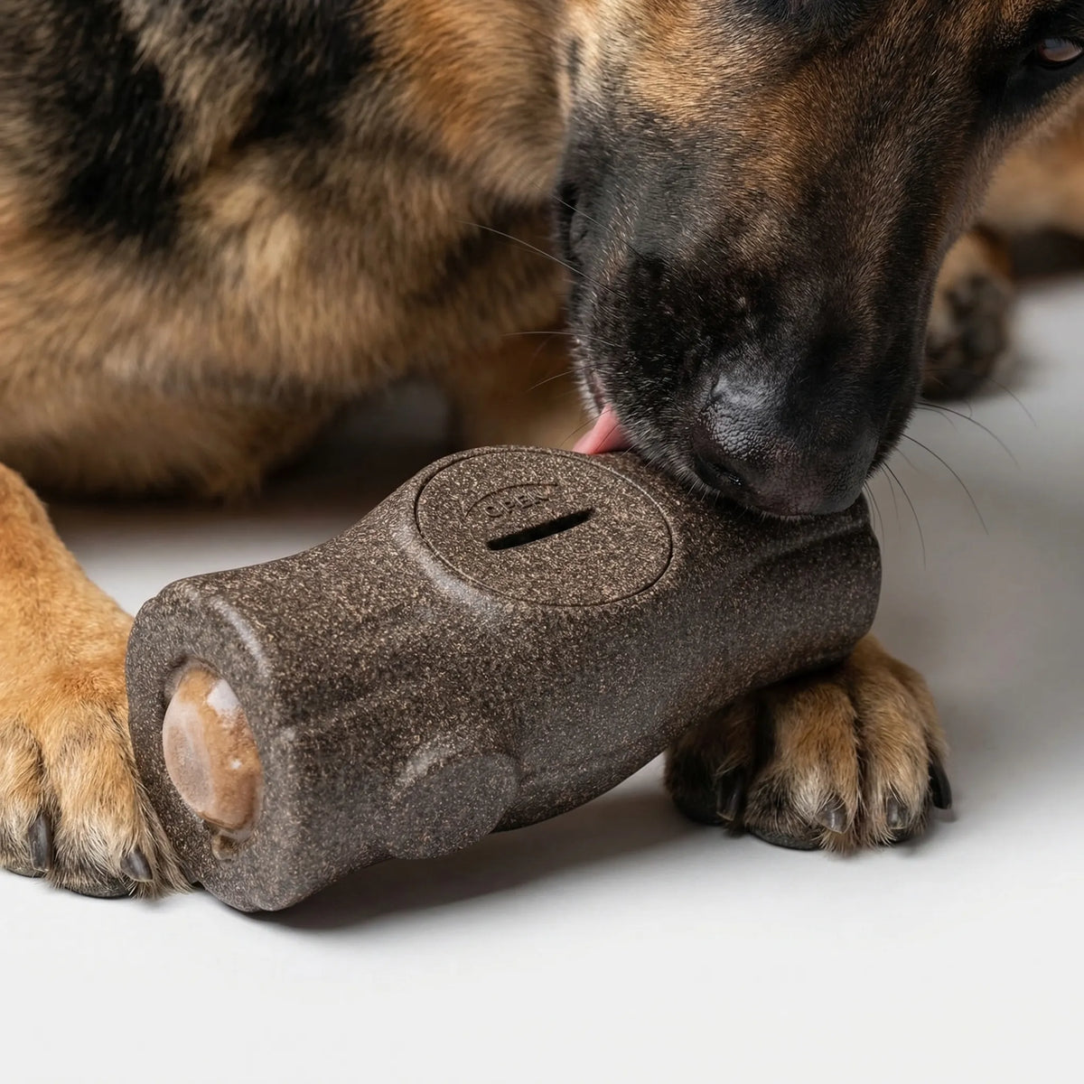 Robustes Kauspielzeug für Hunde mit gefrorenen Leckerlis und Formen