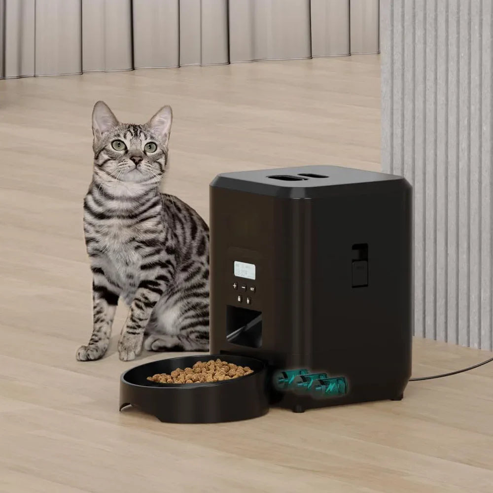 Automatischer Futterspender für Katzen und kleine Hunde mit Timer