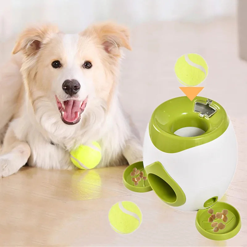 Automatischer Ballwerfer für Hunde mit Leckerli-Spender interaktives Spielzeug