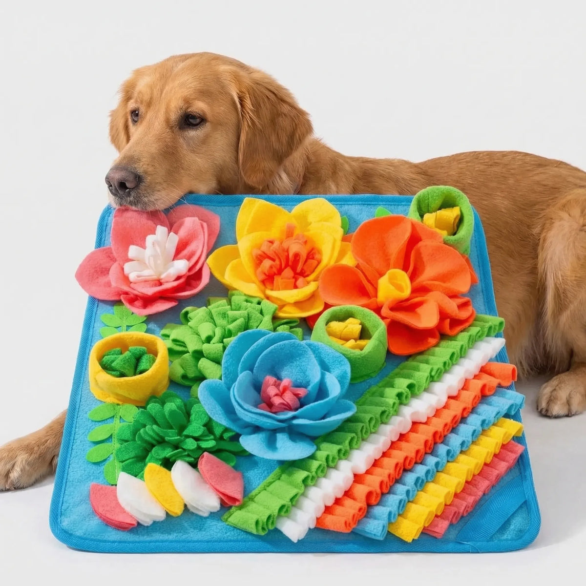 Interaktive Schnüffelmatte für Hunde und Katzen zur mentalen Auslastung und langsamen Fütterung