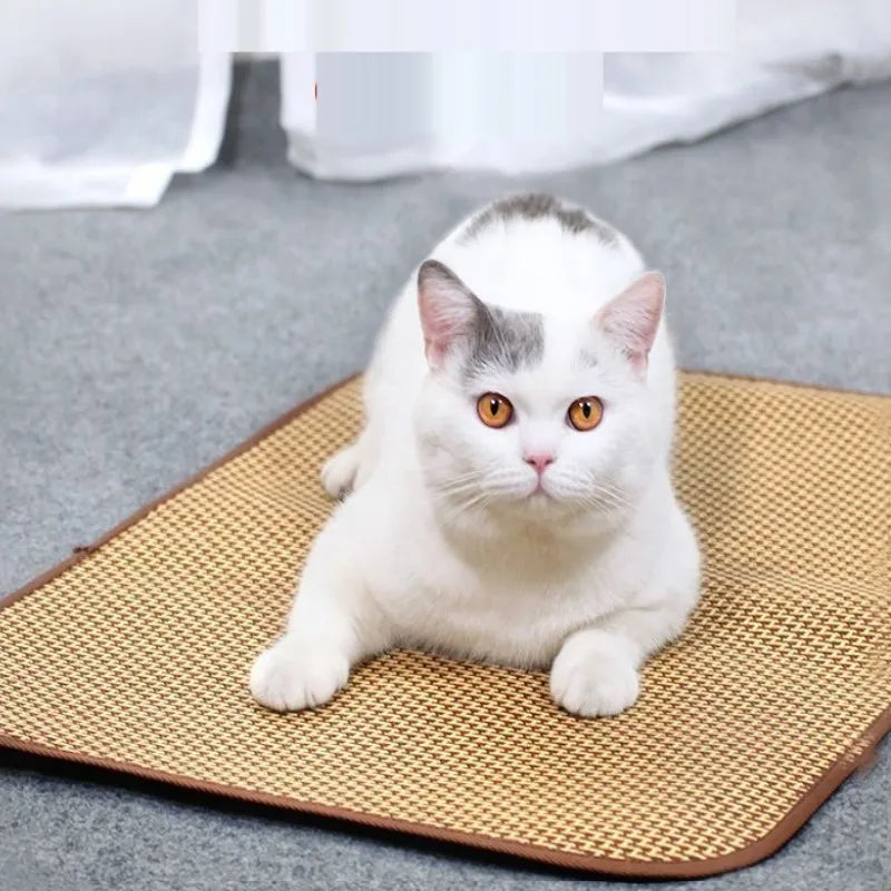 Gewebte Kühlmatte für Haustiere, atmungsaktiv, flach, für Hunde und Katzen