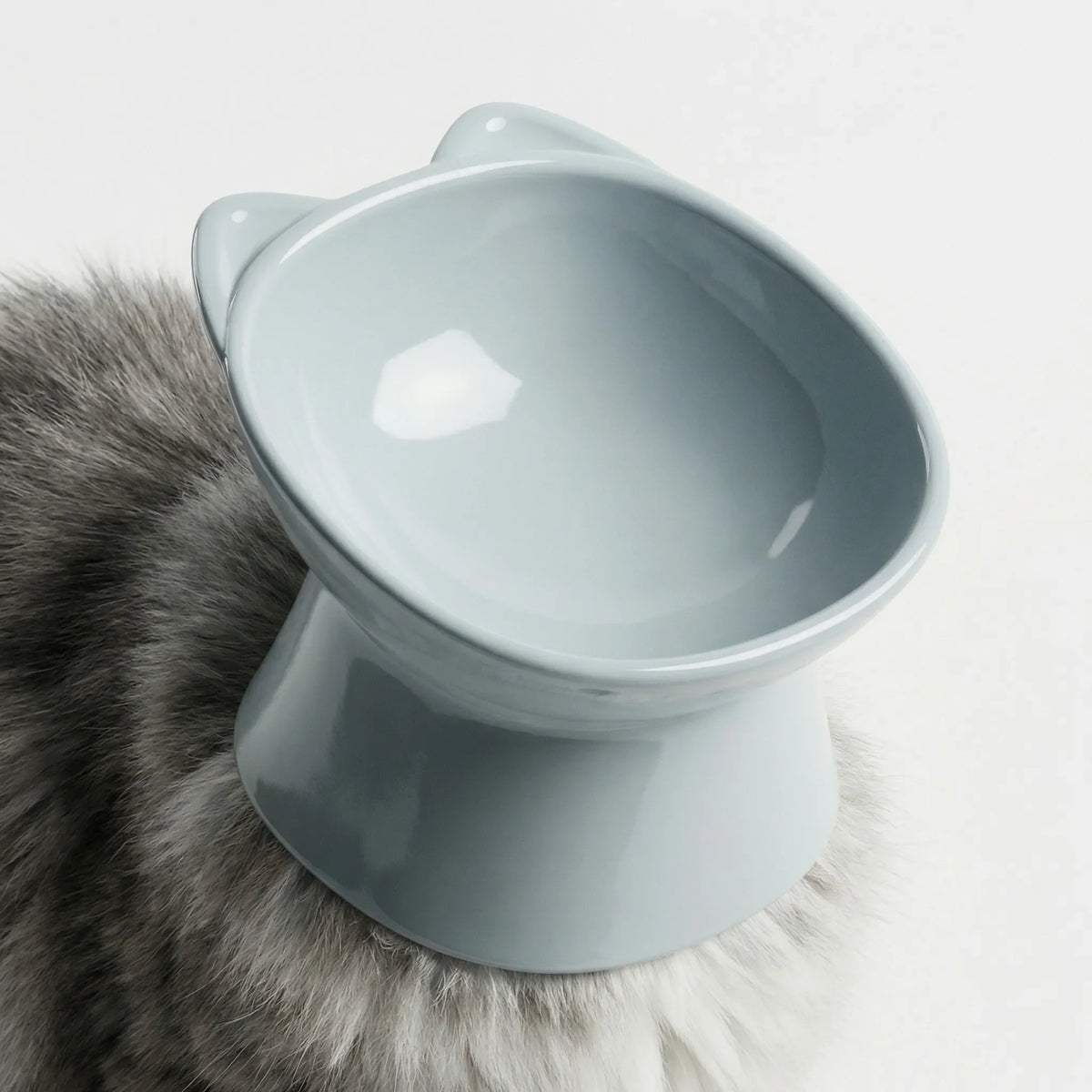 Erhöhter Katzenfutternapf mit hohen Beinen, kippsicher, nordisches Design