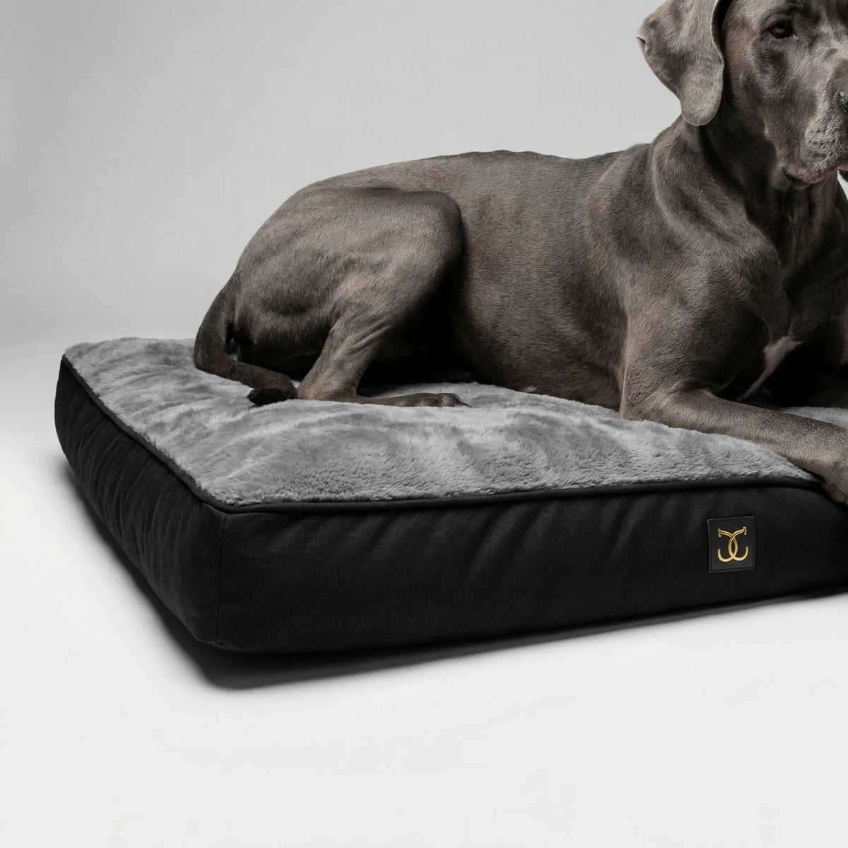 Orthopädisches Hundebett für grosse Hunde, waschbar, Schaumstoffkern