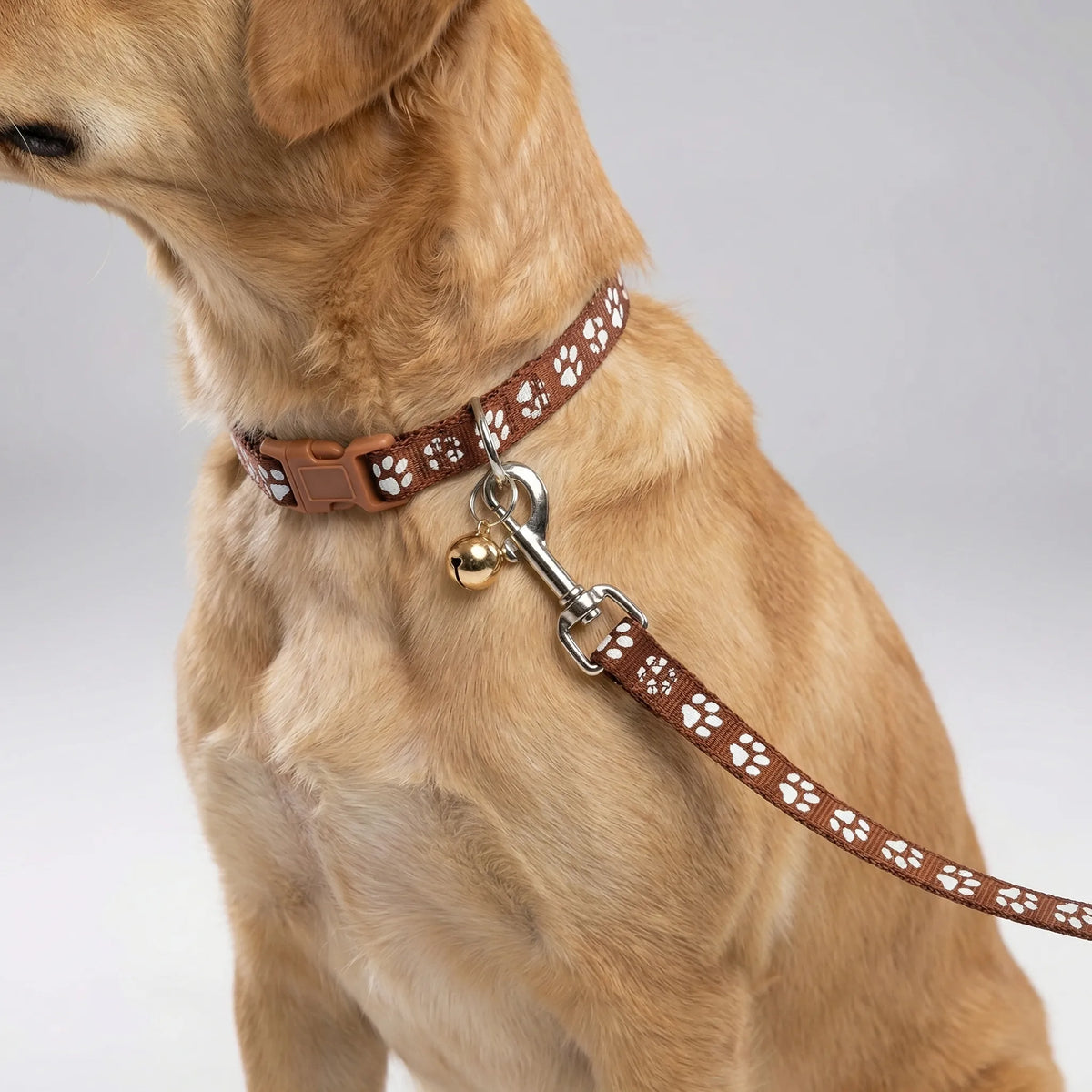 Verstellbares Halsband- und Leinen-Set für kleine Hunde und Katzen mit Pfotenmuster