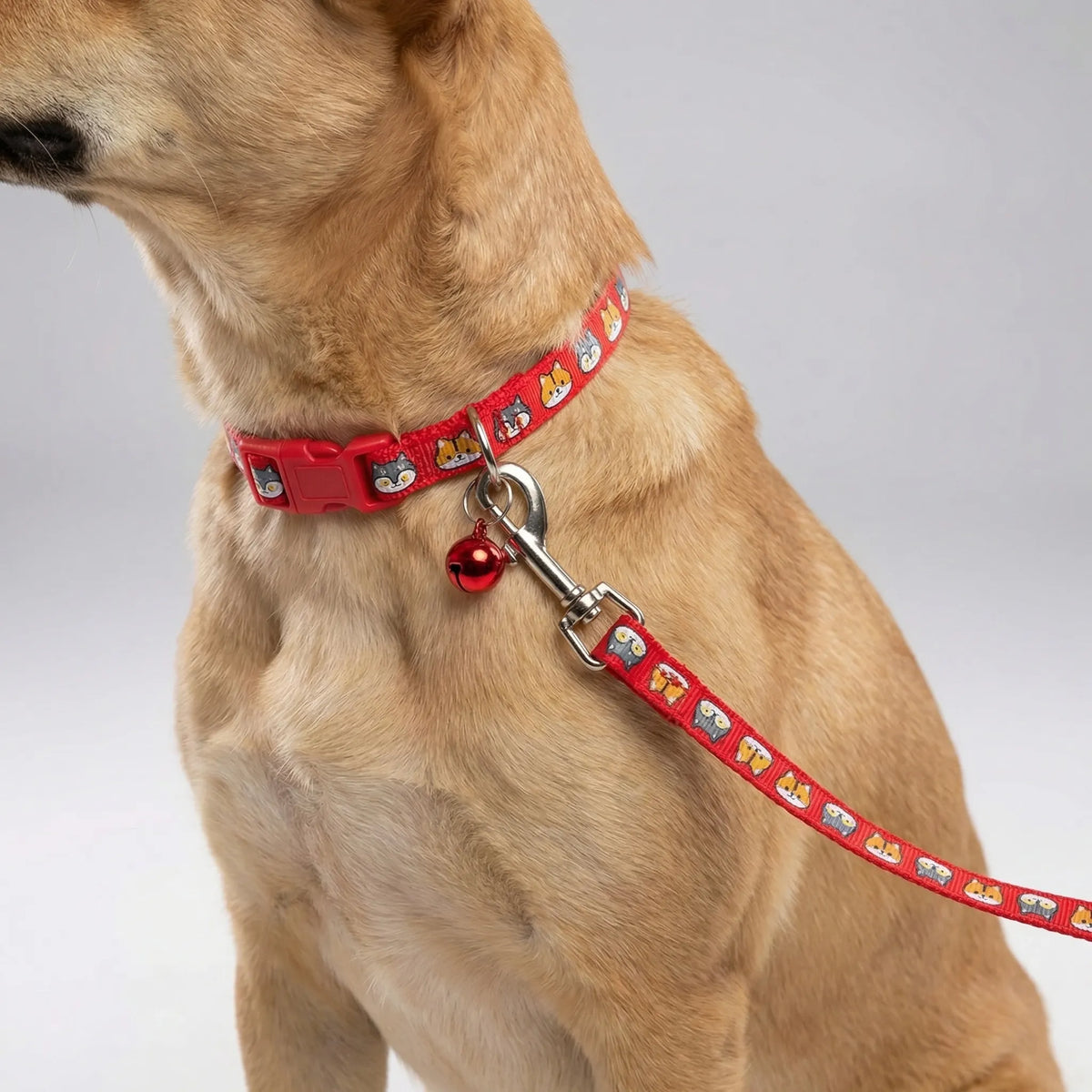 Verstellbares Halsband- und Leinen-Set für kleine Hunde und Katzen mit Pfotenmuster