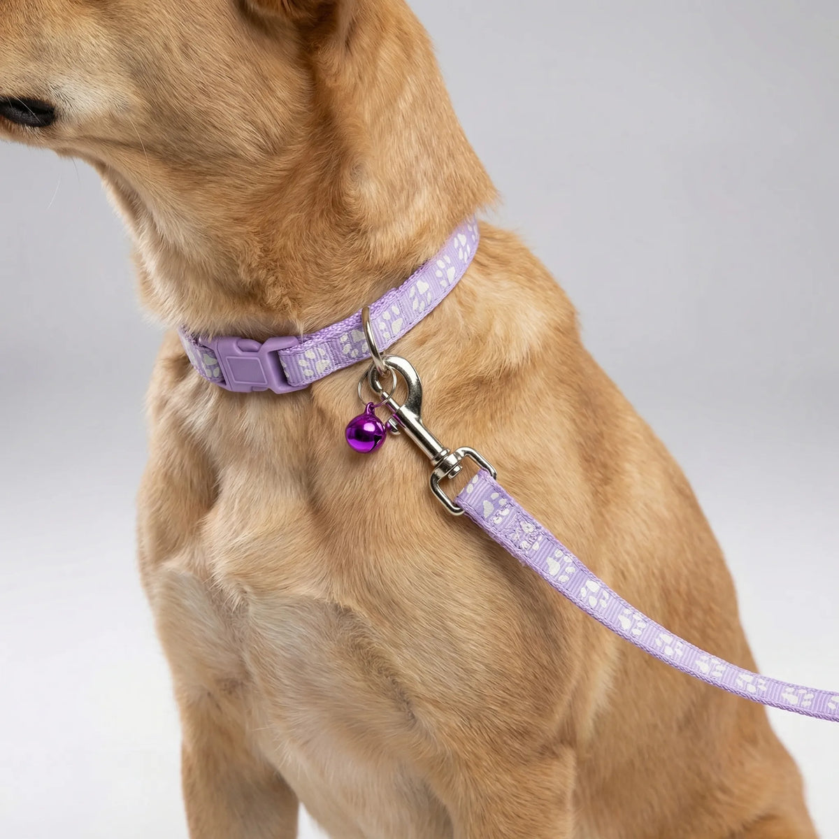 Verstellbares Halsband- und Leinen-Set für kleine Hunde und Katzen mit Pfotenmuster