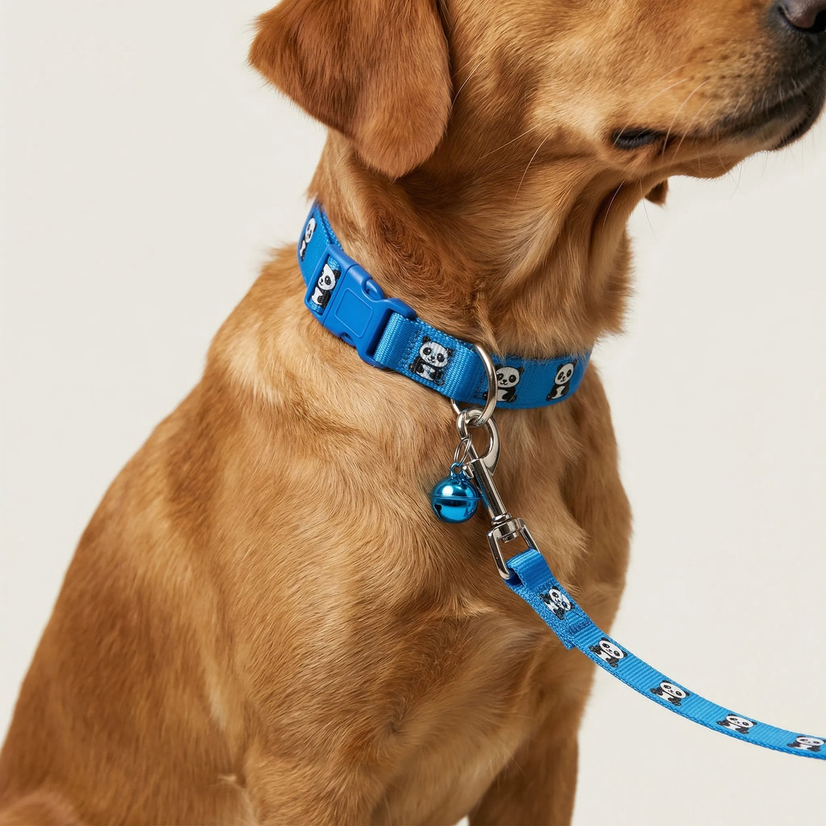 Verstellbares Halsband- und Leinen-Set für kleine Hunde und Katzen mit Pfotenmuster