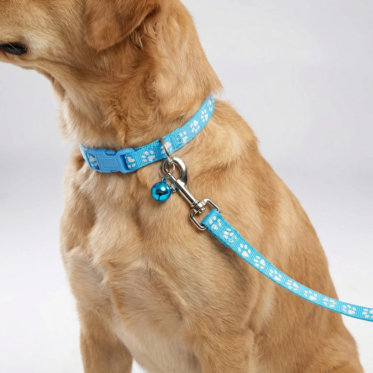 Verstellbares Halsband- und Leinen-Set für kleine Hunde und Katzen mit Pfotenmuster