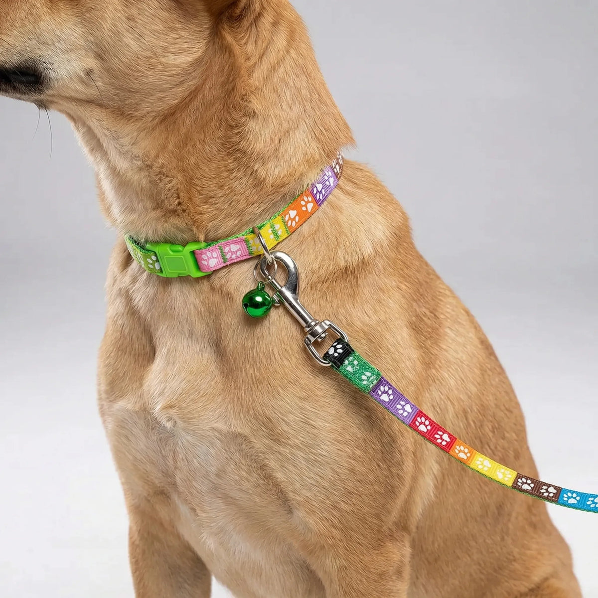 Verstellbares Halsband- und Leinen-Set für kleine Hunde und Katzen mit Pfotenmuster