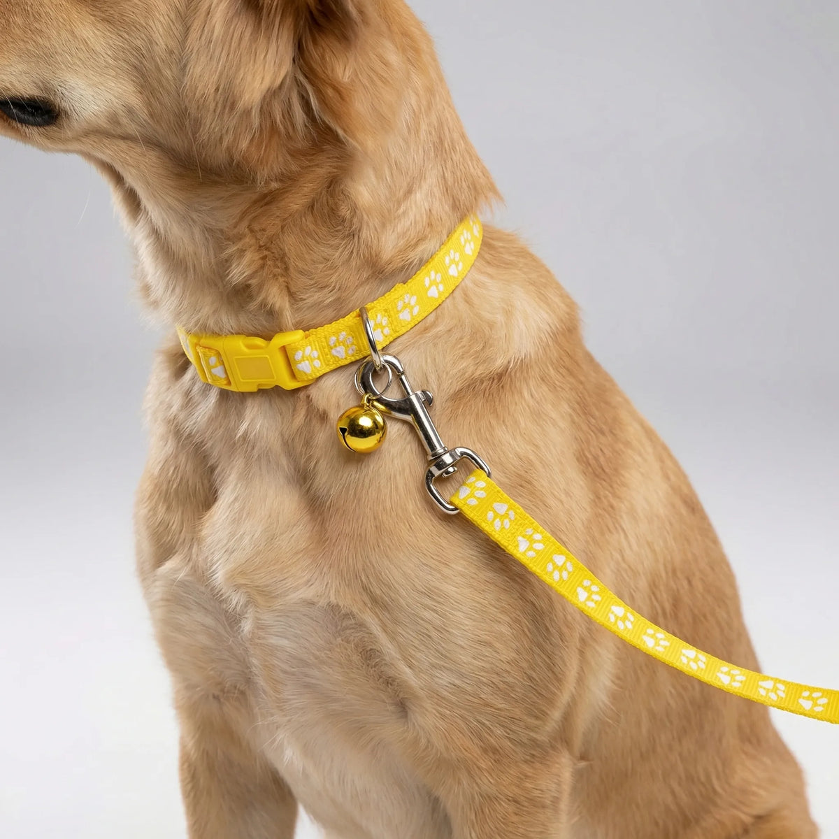 Verstellbares Halsband- und Leinen-Set für kleine Hunde und Katzen mit Pfotenmuster